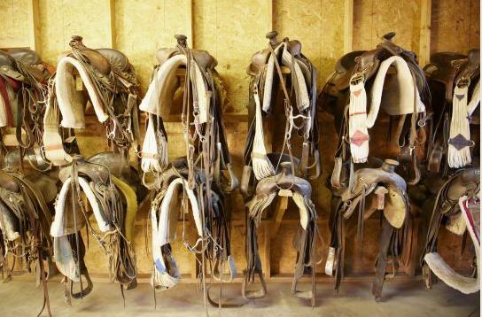 Rancho De Los Caballeros Уикенберг Экстерьер фото