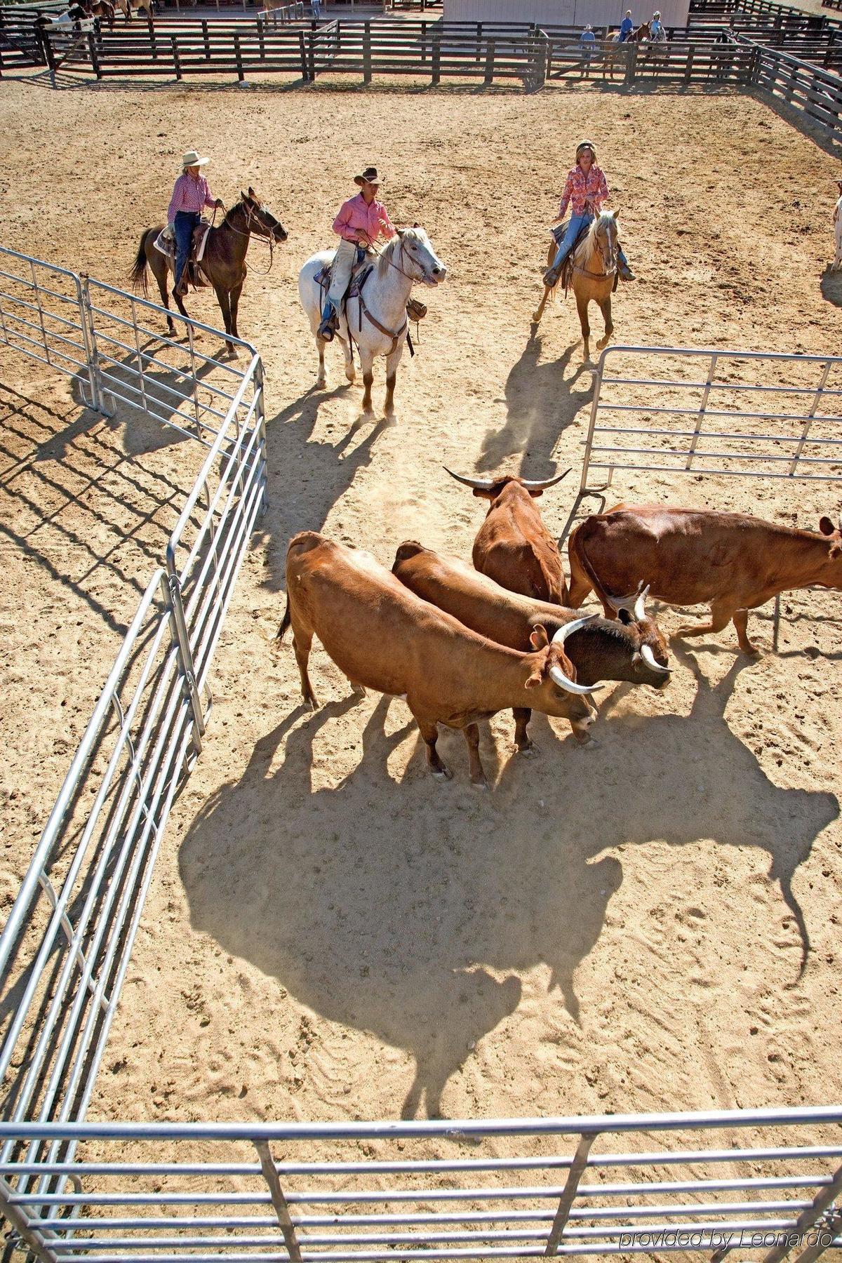 Rancho De Los Caballeros Уикенберг Экстерьер фото