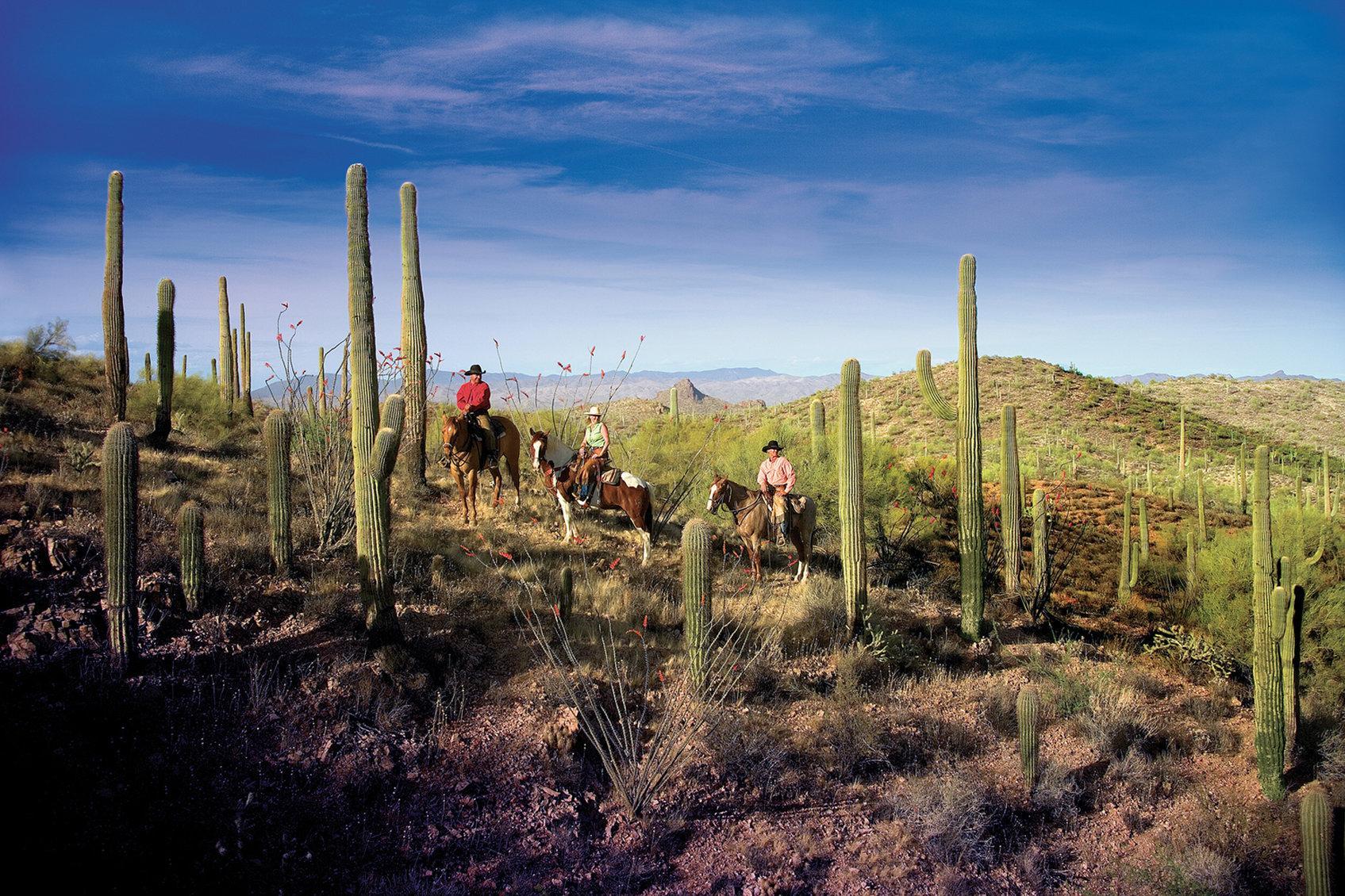 Rancho De Los Caballeros Уикенберг Экстерьер фото